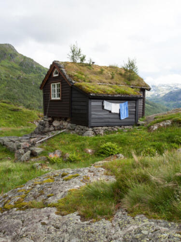 49_Arch_Portfolio_0207